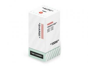 闪极100W Mini充电器(标准版)