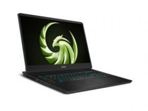 msi微星雷鸟17(R9-7945HX/16GB/1TB/RTX4060/2.5K/240Hz)