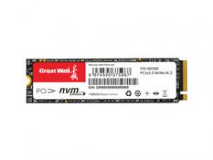 长城GW3300 512GB M.2 SSD