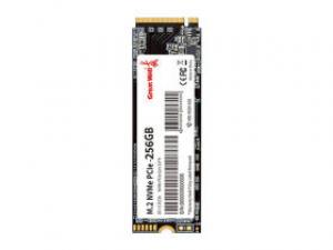 长城P300 256GB M.2 SSD