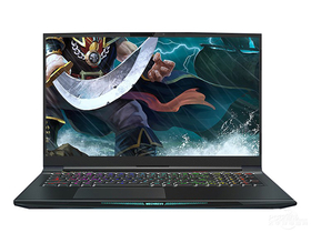 机械革命深海泰坦X10 PRO(酷睿i7-10875H/32GB/1TB+2TB/RTX3070)