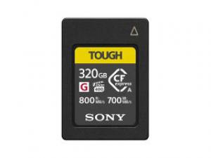 索尼CEA-G320T 320GB