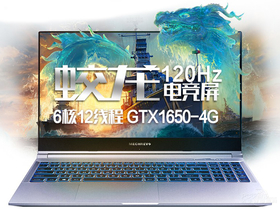 机械革命蛟龙(R5-4600H/16GB/512GB/GTX1650/120Hz)