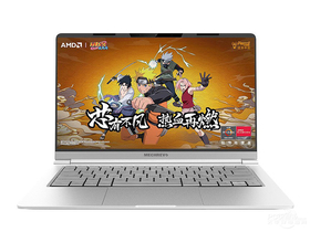 机械革命S2 Air IR(R7-4800H/16GB/512GB/高色域)