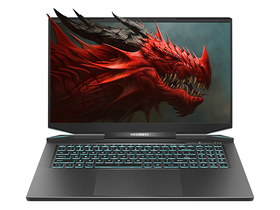 机械革命蛟龙7(R9-5900HX/32GB/1TB+2TB/RTX3080)