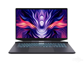 机械革命钛钽PLUS(酷睿i7-10875H/16GB/512GB/RTX3060)