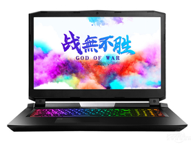 神舟战神GX10-CT9Pro(酷睿i9-9900K/16GB/512GB+2TB/RTX2080)