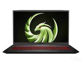 msi微星勇者 Bravo17(R7 4800H/16GB/512GB/RX5500M/120Hz)