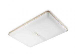 飞利浦hue睿颖吸顶灯60W