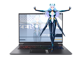 雷神911Zero(R7-5800H/16GB/512GB/RTX3070)