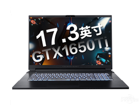 雷神新911MP伪装者(酷睿i7-10750H/8GB/512GB/GTX1650Ti)