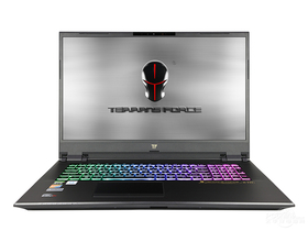 未来人类X711-26X7S1(酷睿i7-10875H/64GB/1TB+1TB/RTX2070super)