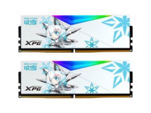 威刚龙耀华硕吹雪联名RGB DDR5 6400 64GB(32GB×2)