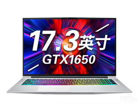 机械师T90 Plus-TB5(酷睿i7-9750H/8GB/512GB/GTX1650)