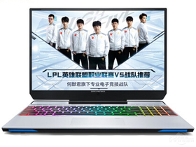 机械师F117-V(酷睿i7-9750H/8GB/512GB+1TB/RTX2060)