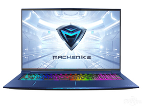 机械师F117-FPE(酷睿i7-9750H/32GB/512GB+2TB/RTX2070)