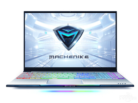 机械师F117-B(酷睿i7-9750H/8GB/512GB/GTX1650)