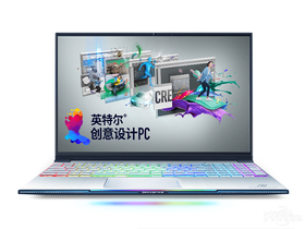 机械师Machbook-PCi1(酷睿i7-9750H/16GB/512GB+1TB/GTX1660Ti)