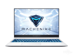 机械师F117-Bpro(酷睿i7-10750H/8GB/512GB/GTX1650Ti)