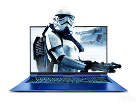 机械师F117-FP(酷睿i7-10750H/16GB/256GB+1TB/RTX2060/144Hz)