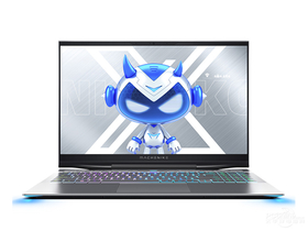 机械师战空F117-X(酷睿i7-10870H/32GB/512GB+1TB/RTX3060/240Hz)