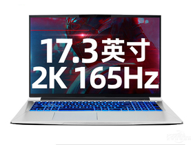 机械师战空F117Plus(酷睿i7-10870H/16GB/1TB/RTX3060/2K屏/165Hz)