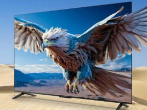 雷鸟鹏6 24款 65英寸(65S375C)