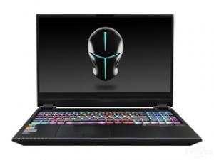 未来人类X511 26X7SH1(酷睿i7-10750H/32GB/512GB+1TB/RTX2060)