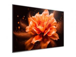 长虹欧宝丽100Z60