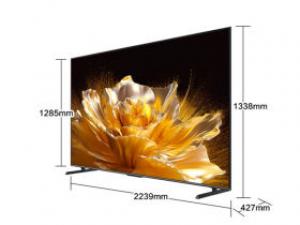 夏普4T-C100GN7000A