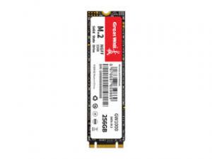 长城GW1000 256GB M.2 SSD
