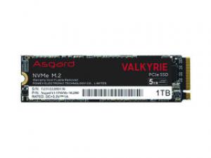 阿斯加特女武神系列 V3 1TB M.2 SSD