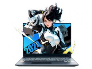 机械革命极光pro(酷睿i5-13450HX/16GB/1TB/RTX4060/165Hz/2.5K)