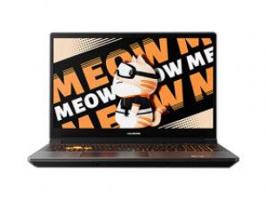 七彩虹MEOW R15 24(R9-7940H/16GB/512GB/RTX4070/165HZ/2.5K)