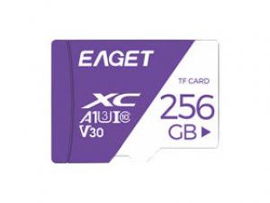 忆捷T1紫白卡 TF(256GB)