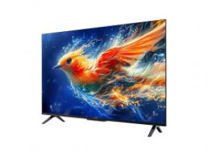 雷鸟雀5 24款 43F285C