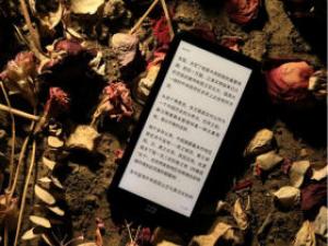 迷你阅Plus(inkPalm Plus)