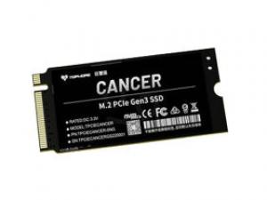 达墨巨蟹座 1TB M.2 SSD