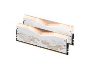 七彩虹龙年限定系列 DDR5 6800 48GB(24G×2)