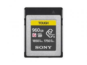 索尼CEB-G960T 960GB