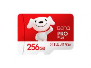banq&JOY联名款Pro版 TF(256GB)