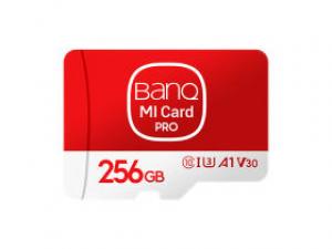 banq MICard Pro TF(256GB)