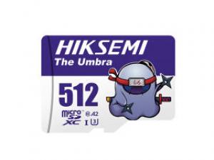 海康威视忍着系列 TF(512GB)