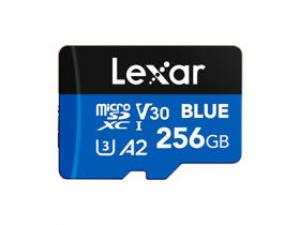 雷克沙BLUE TF(256GB)