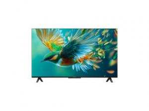 雷鸟雀5 25款 43F295C