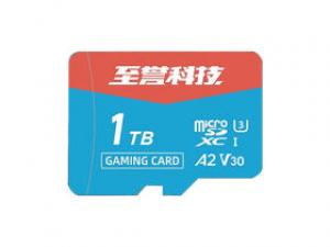 至誉科技Gaming系列 TF(1TB)