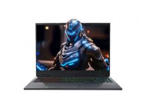 雷神猎刃16 2025(酷睿i9-13900HX/16GB/1TB/RTX5080/300Hz/2.5K)