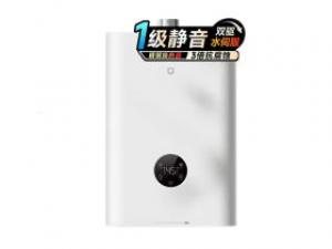 米家智能恒温燃气热水器16L S10(JSQ30-MJ05)