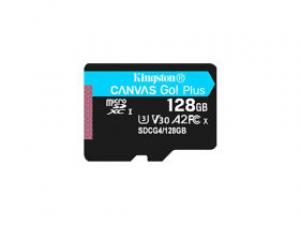 金士顿SDCG4 TF(256GB)