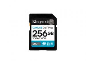 金士顿SDG4 SD(256GB)